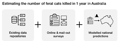 Graphical Abstract Image