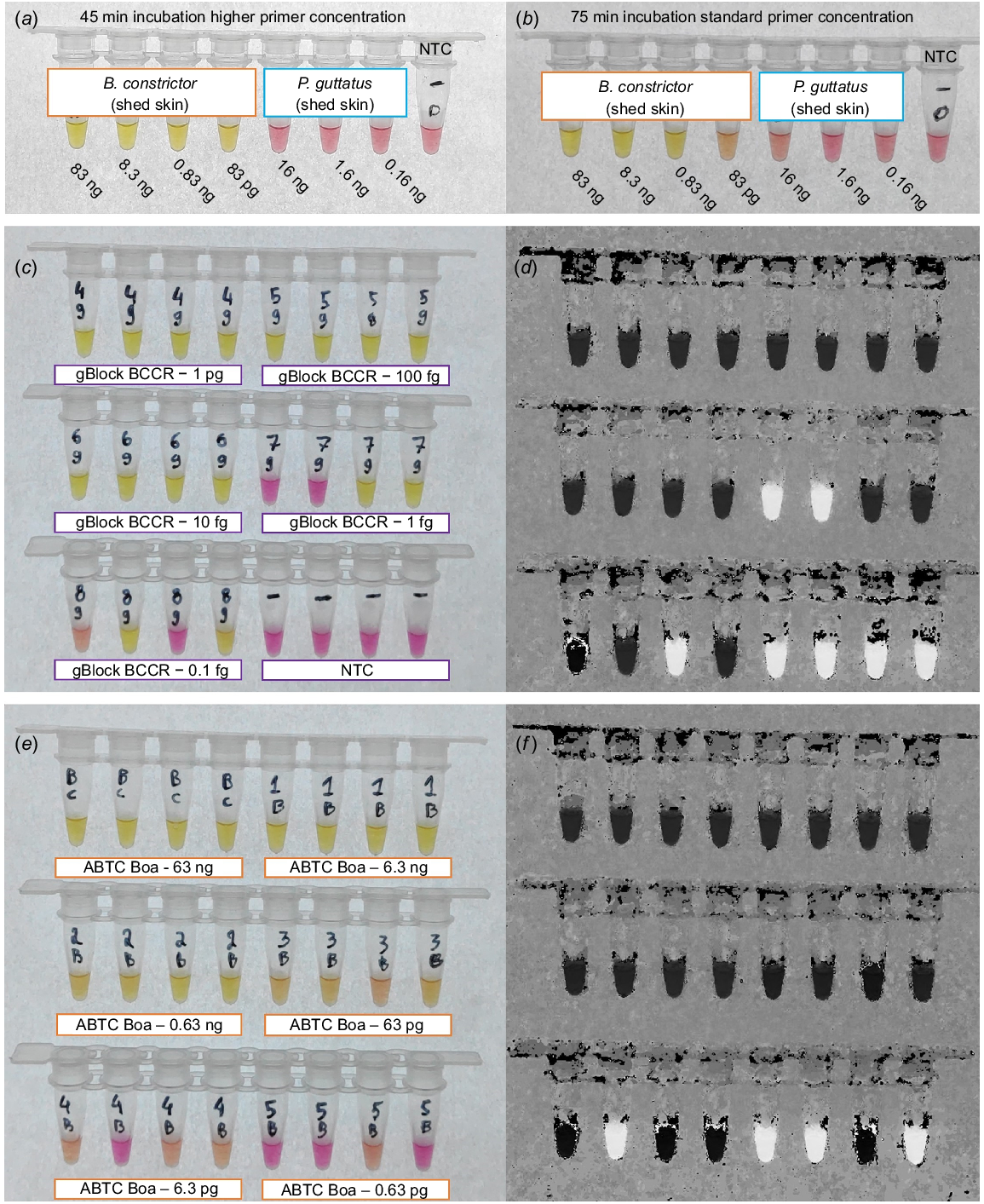 WR23053_F3.gif