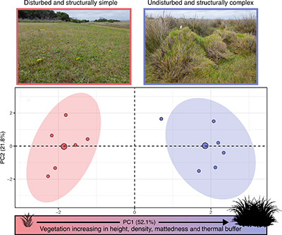 Photographs of disturbed and undisturbed sites, with PCA graph showing vegetation structural changes between site types.