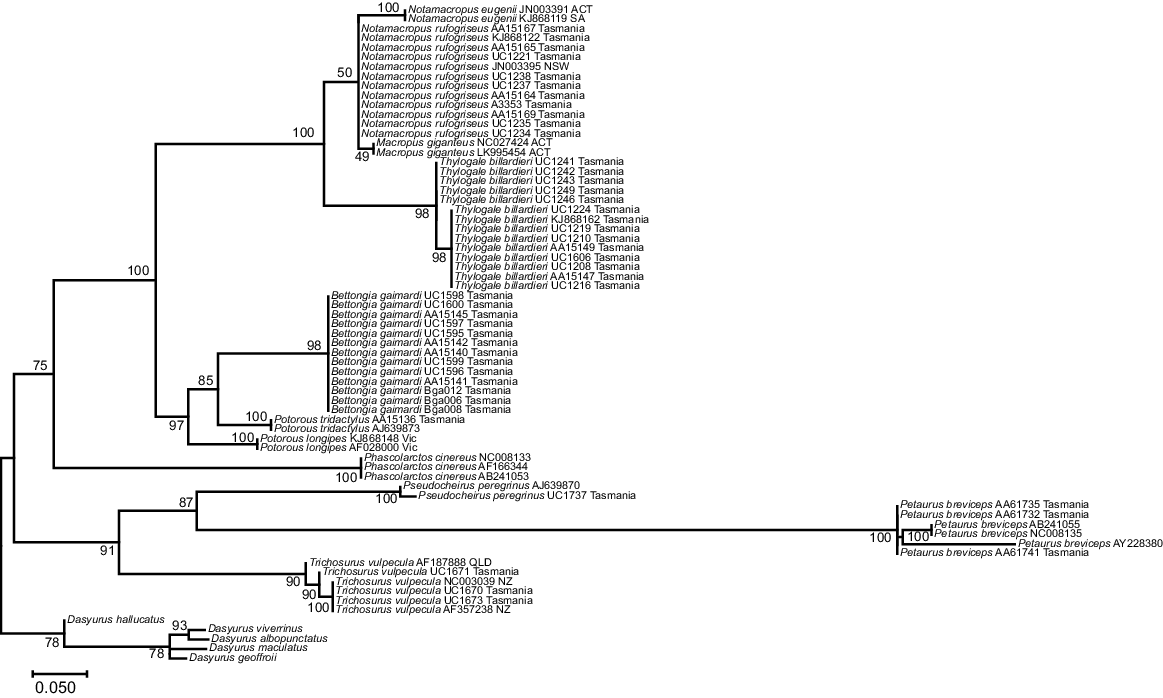 WR23134_F3.gif
