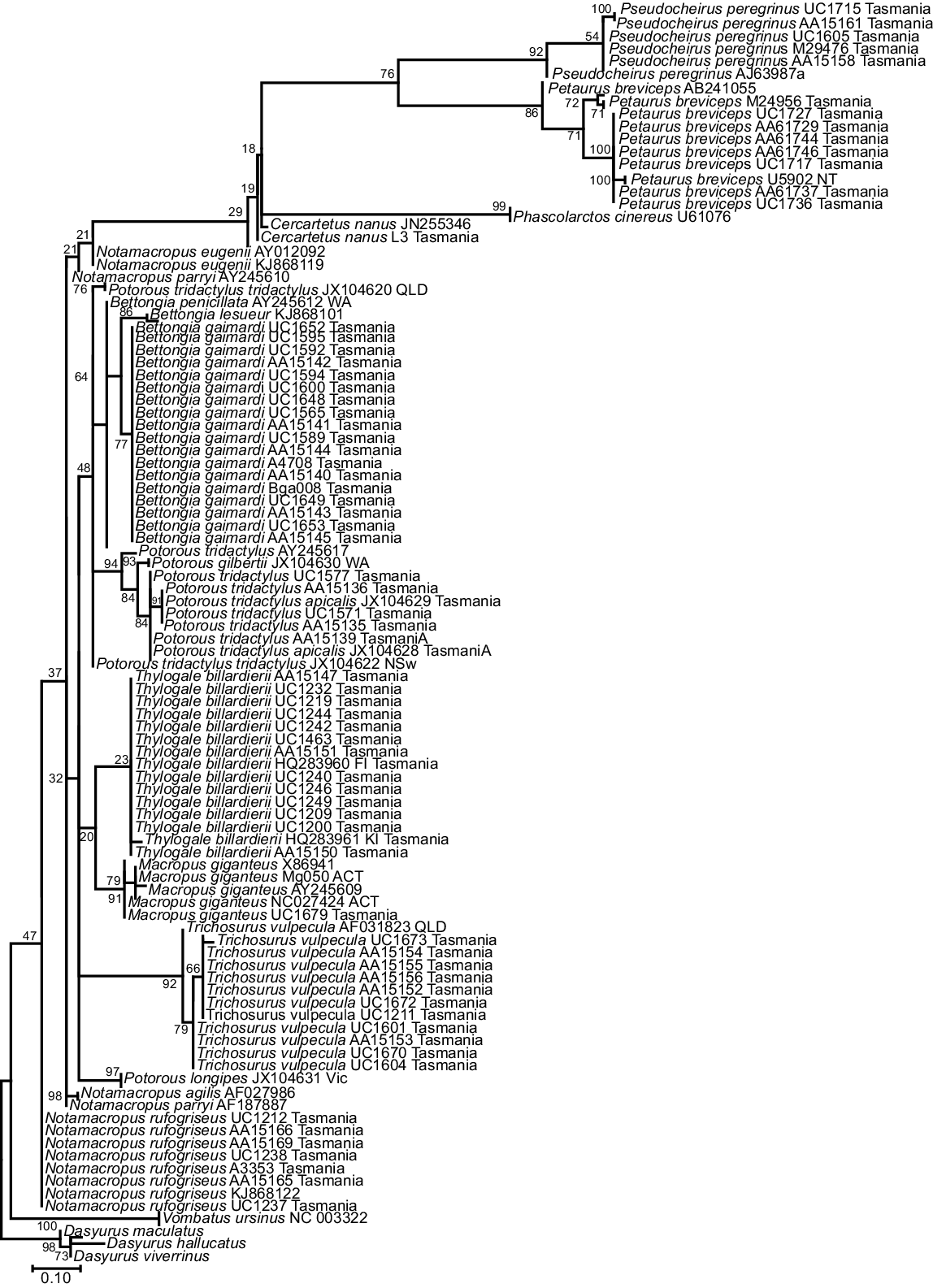WR23134_F4.gif