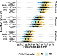 A graph showing posterior densities and predictions of Vespadelus forearm length with elevation