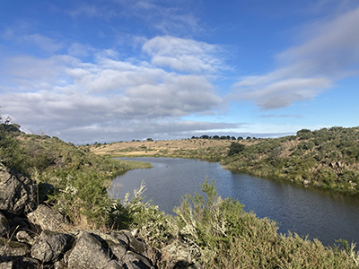 A photograph showing Eastern Maar Country.