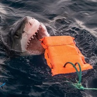 A photograph of bite-resistant material testing for white sharks and tiger sharks.