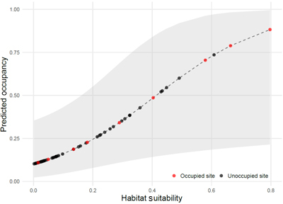 Graph showing predicted greater sooty owl occupancy against Maxent-modelled habitat suitability for field survey sites.