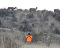 A photo of hunters targeting elk as they travel to higher elevation areas through grasslands and sagebrush steppe
