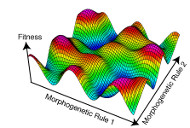 Graphical Abstract Image