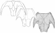 Graphical Abstract Image