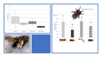 Graphical Abstract Image