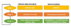 Graphical Abstract Image