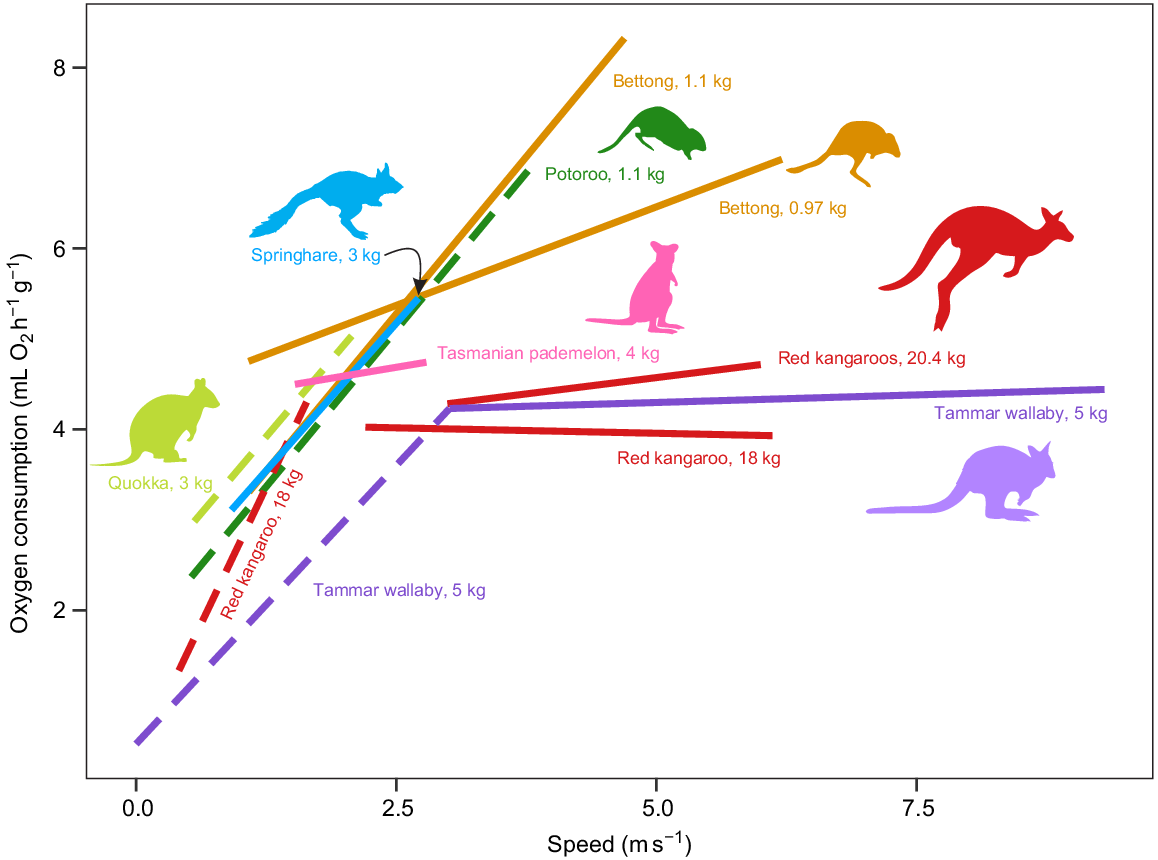 https://www.publish.csiro.au/temp/ZO21048_F6.gif