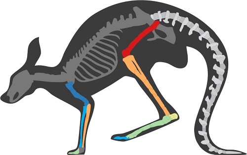 Graphical Abstract Image