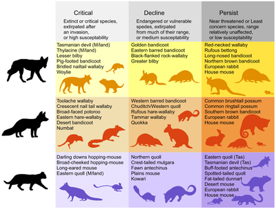 graphical abstract image
