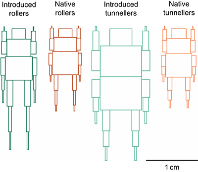 Graphical Abstract Image