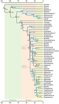 graphical abstract image