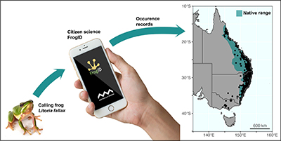 graphical abstract image