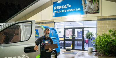The RSPCA Wildlife Hospital, located in Wacol, Brisbane, Australia.
